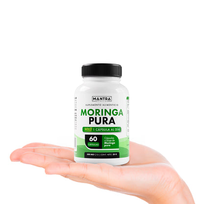 Moringa | 60 Cápsulas – Superalimento Rico en Nutrientes