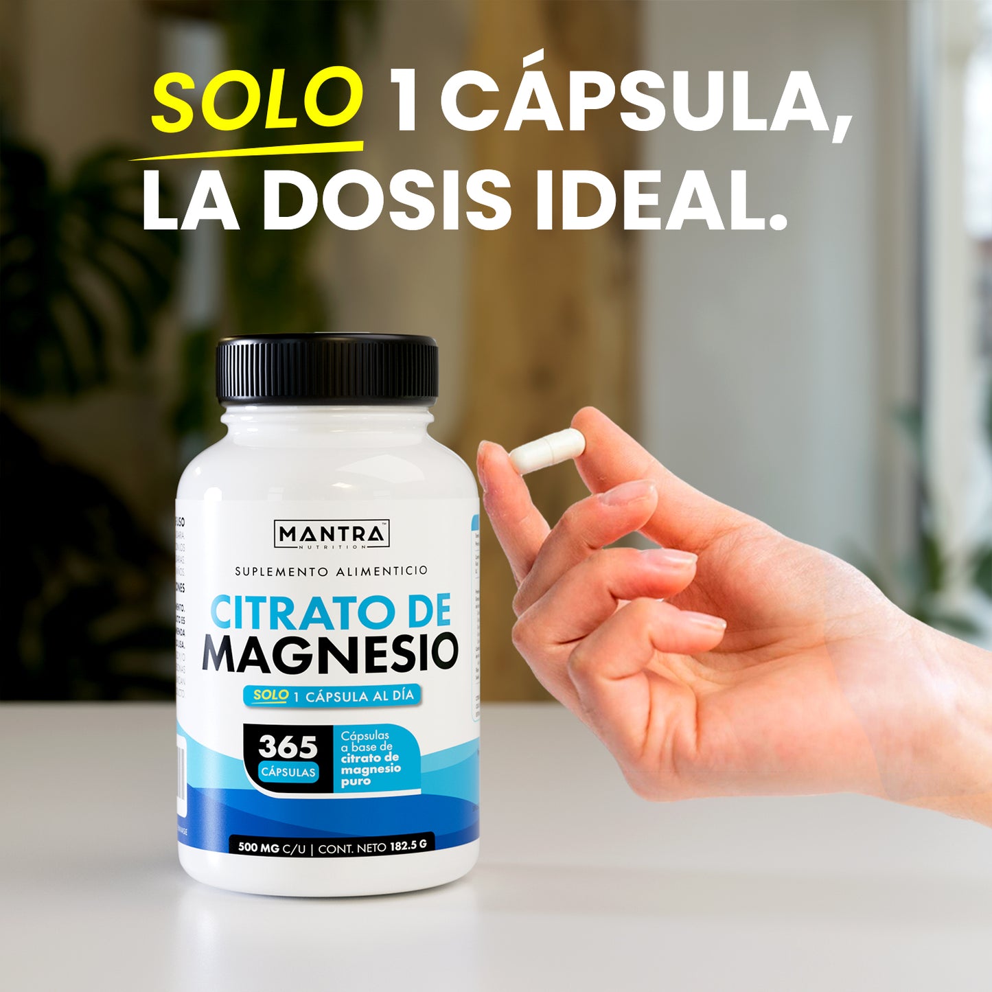 Citrato de Magnesio | 365 Cápsulas – 500 mg de Magnesio Puro