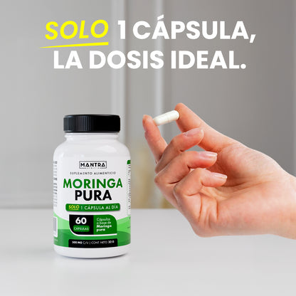 Moringa | 60 Cápsulas – Superalimento Rico en Nutrientes