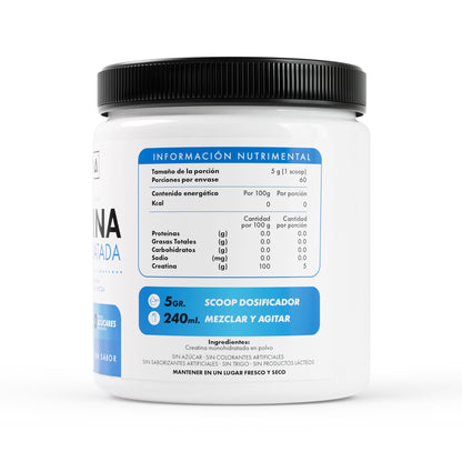 Creatina Monohidratada | Mantra Nutrition – Potencia Muscular Natural